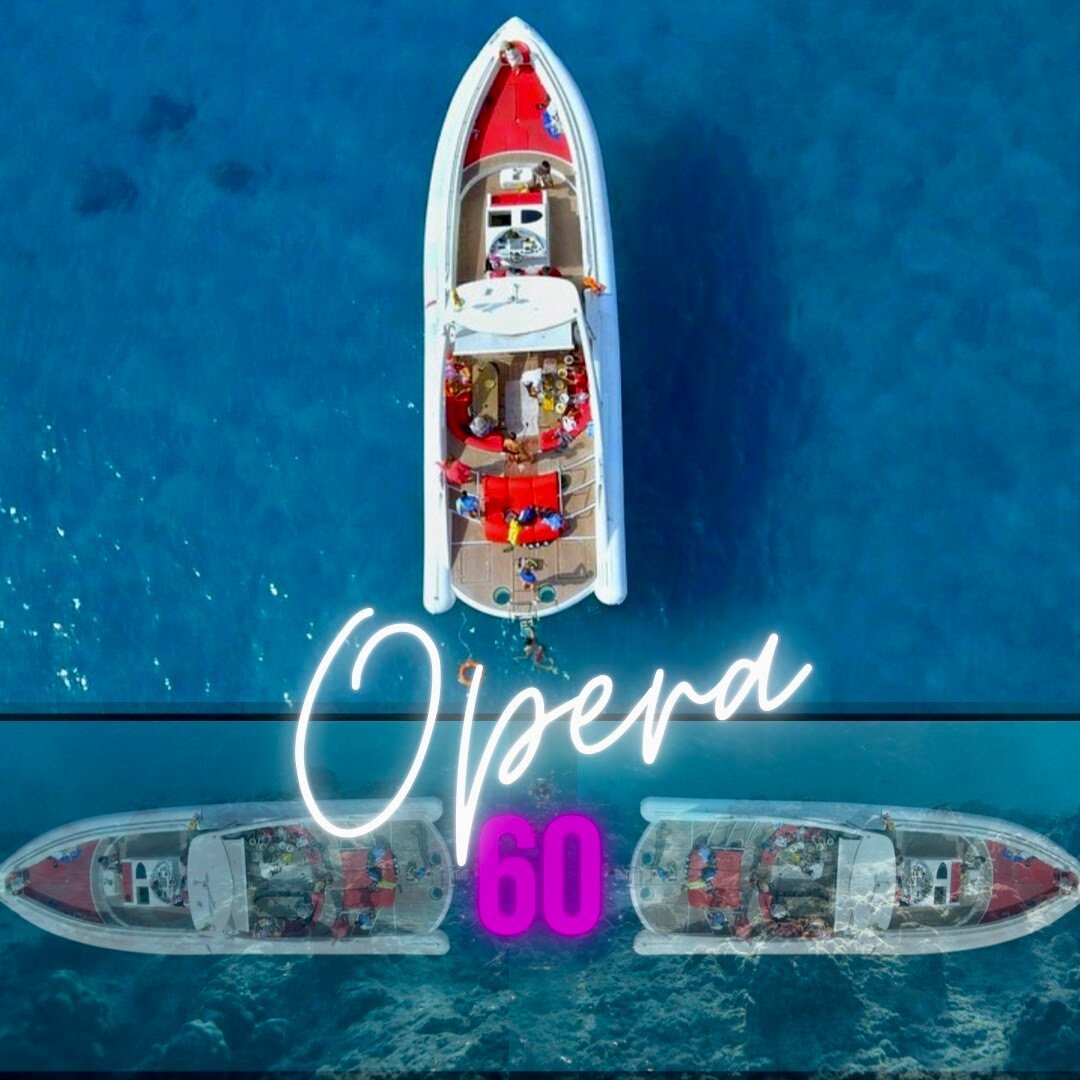 Opera 60 Luxury Charters, Тенерифе: лучшие советы перед посещением -  Tripadvisor