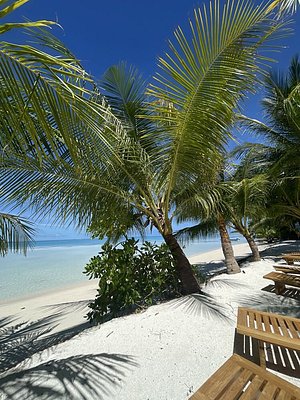 Infinity Dhiffushi Maldives