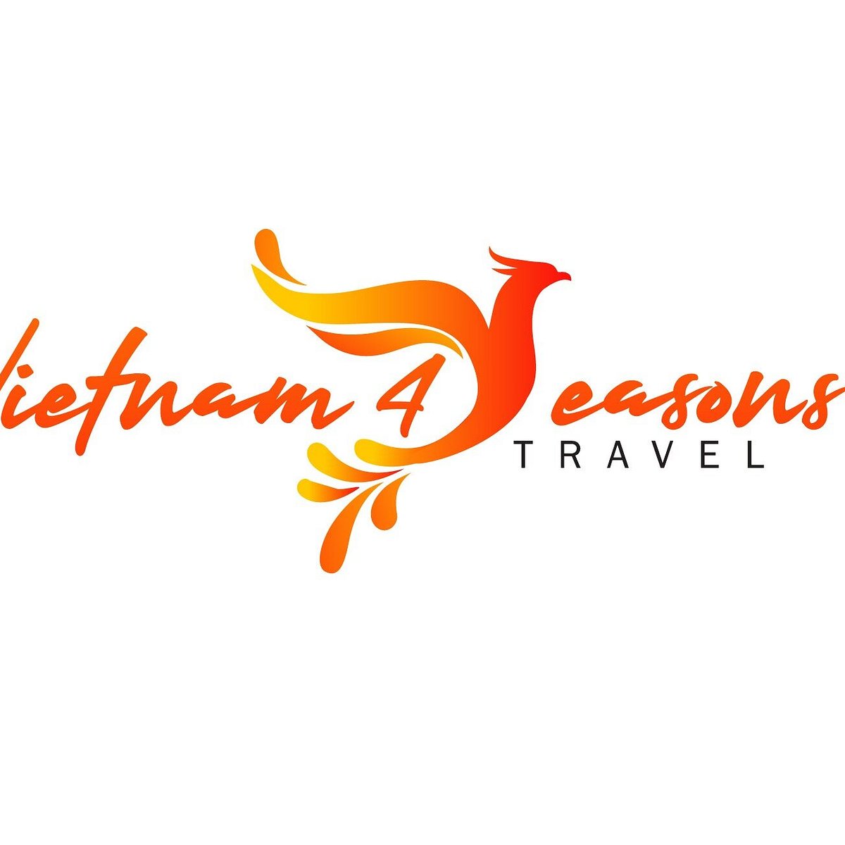 Vietnam4seasons Travel (Hanoi) - All You Need to Know BEFORE You Go ...