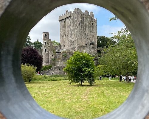 private tours ireland reviews