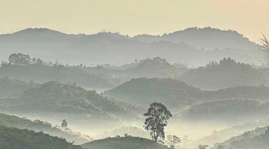 Đồi Bát Úp (Bảo Lộc, Việt Nam) - Đánh giá - Tripadvisor