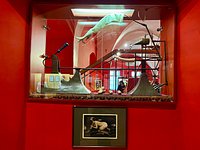 attrezzatura sessuale - Picture of Sex Machines Museum, Prague - Tripadvisor