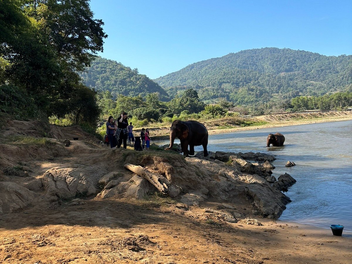 Happy Elephant Home - All You Need to Know BEFORE You Go (2024)