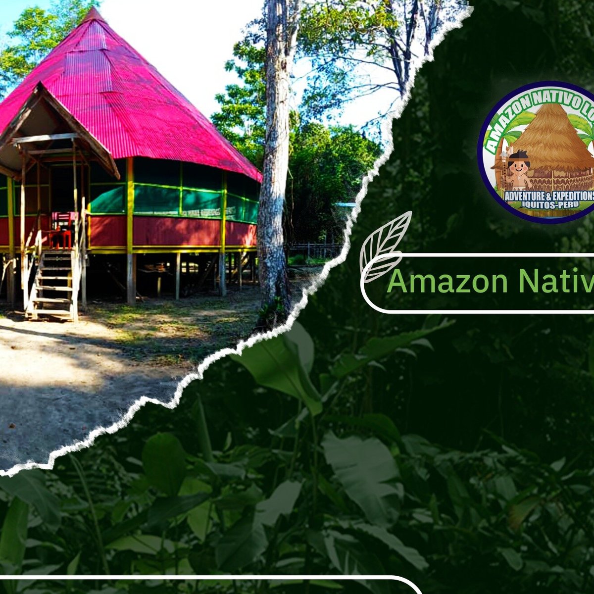 Amazon Nativo Lodge (Iquitos, Peru): Address, Phone Number, - Tripadvisor