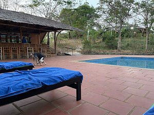 HANCHEY BAMBOO RESORT (Preaek Bak) - Hostel Reviews, Photos, Rate  Comparison - Tripadvisor