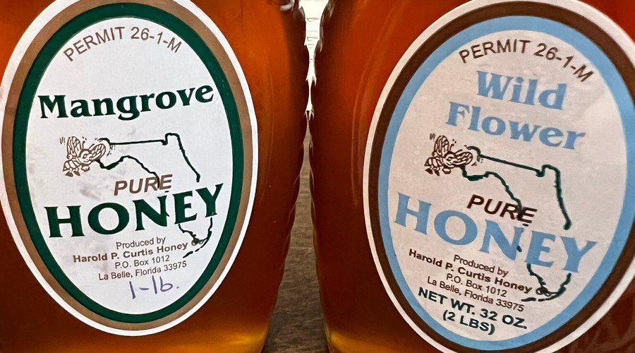Honey and history were included in a visit to Herold Curtis honey store. They sell different varieties based on where the hives are placed. Who knew honey could be sweet or spicy! Take time to talk to the owner about the history and tribulations of the Florida honey industry.  She is amazing. Buy some special candy, honey or a T-shirt or gift for someone special. And somedays, you can buy fresh eggs too. It supports this truly incredible family owned business and help to save Florida bees