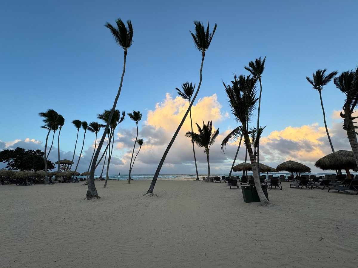 Secrets Tides Punta Cana Updated 2024 Prices And Resort Reviews