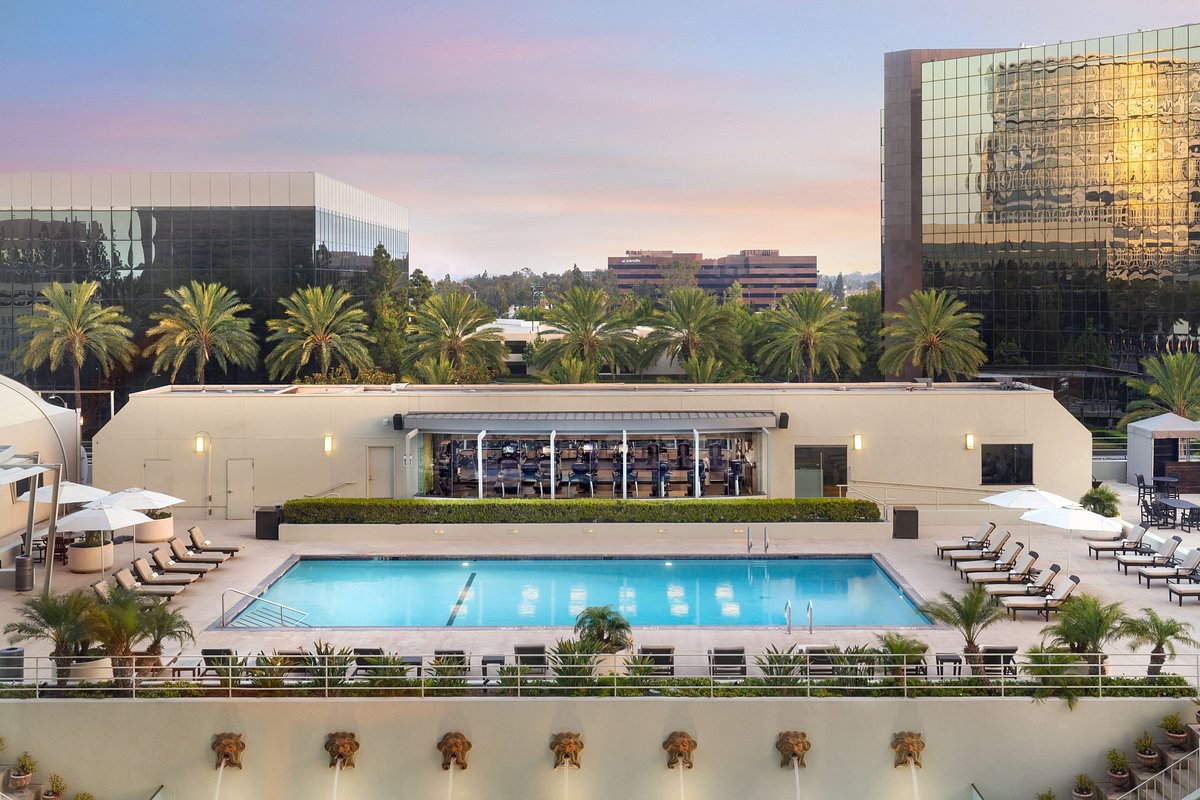 The Westin Tampa Bay - UPDATED 2024 Prices, Reviews & Photos (Florida) -  Hotel - Tripadvisor