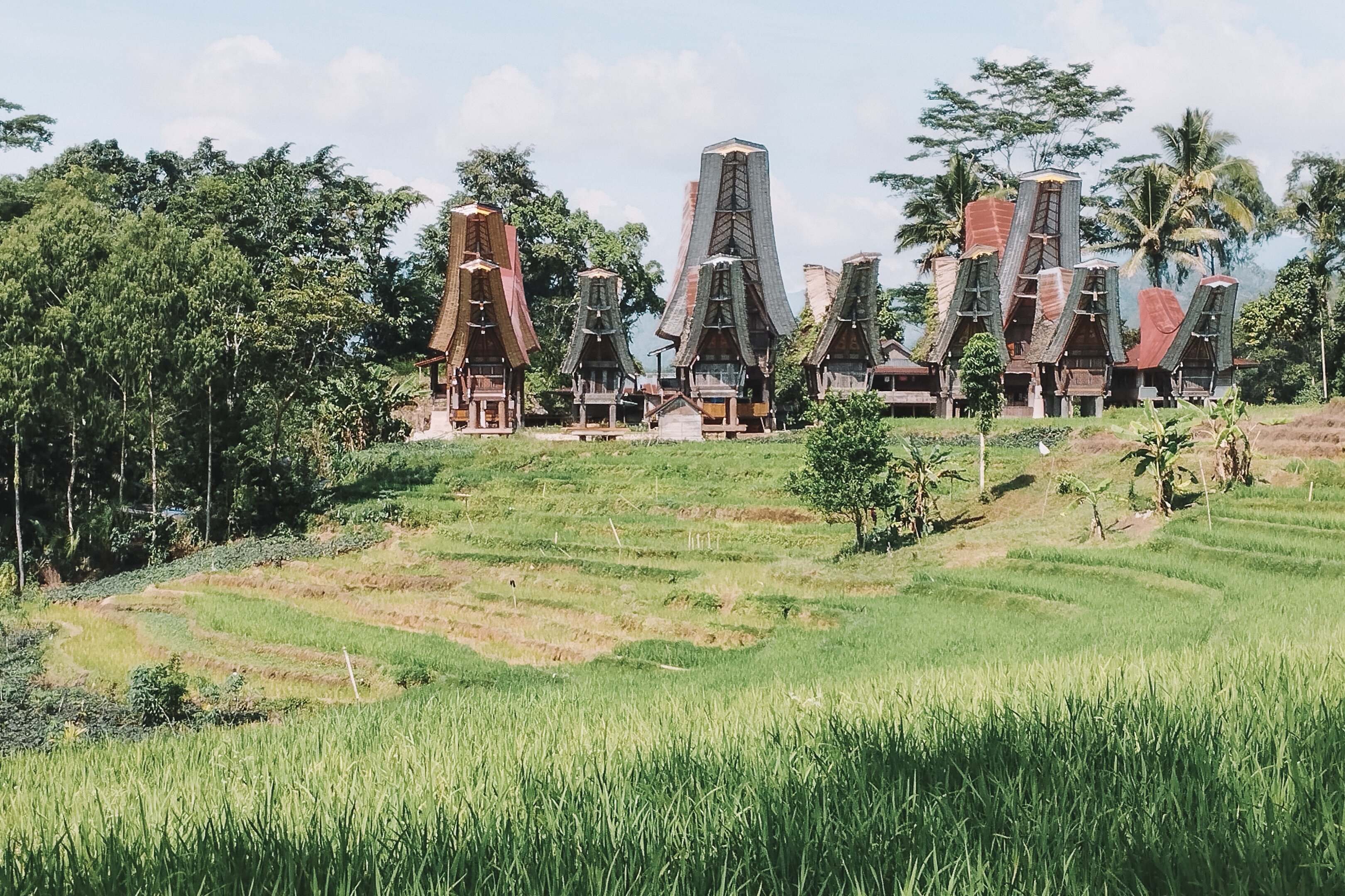 Local Guide Toraja (Tana Toraja, Indonesia): Hours, Address - Tripadvisor