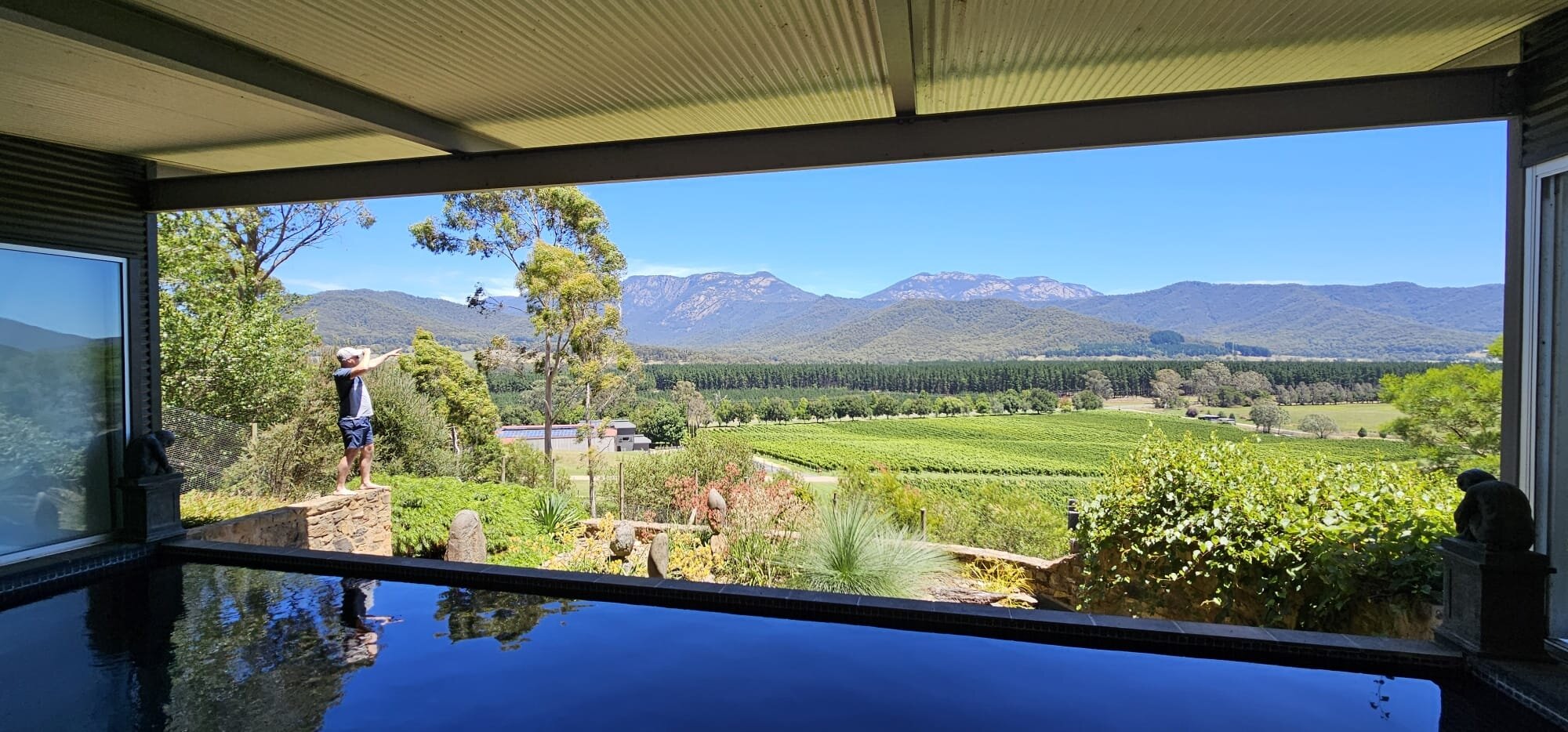 Feathertop Winery All You Need to Know BEFORE You Go 2024