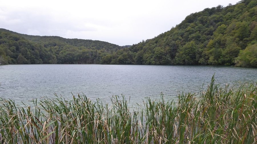 Galovac