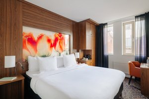 Room & Suite