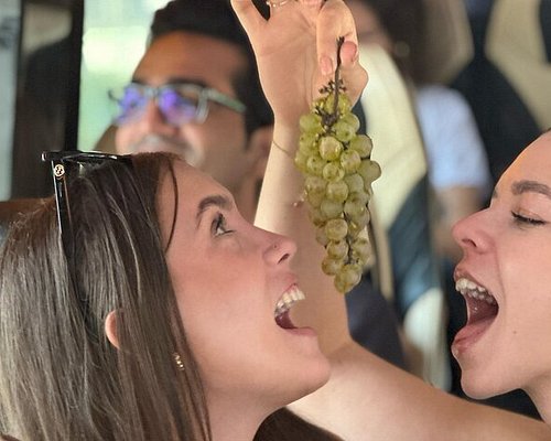 wine tours tbilisi