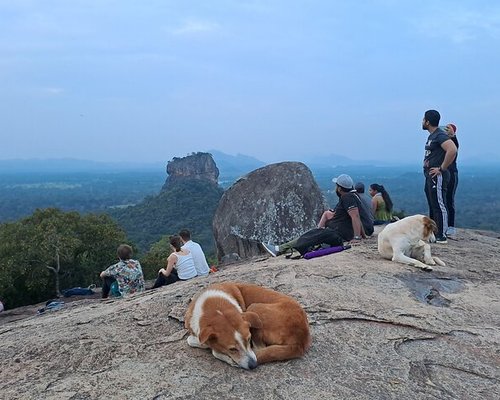 Sri Lanka Adventure Travel: Thrills and Excitement Await - Caving, rock climbing, and abseiling opportunities