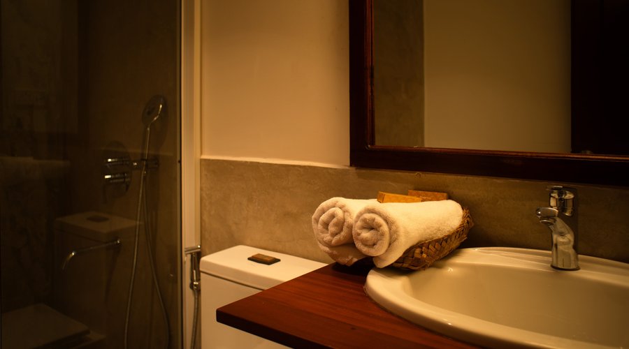 Toilet amenities and Bathroom