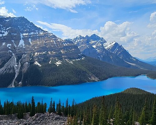 canada bus tours from calgary
