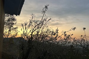 Viajero
