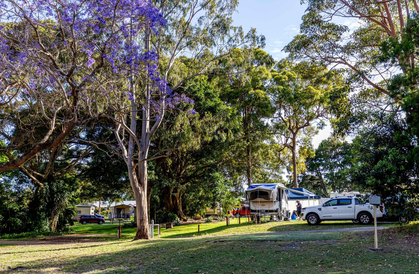 ILUKA RIVERSIDE HOLIDAY PARK - 2024 Reviews - Photos of Campground ...