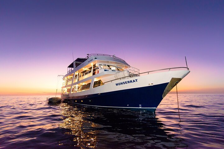 THE 10 BEST Santa Cruz 2024 Boat Rides Cruises from 60