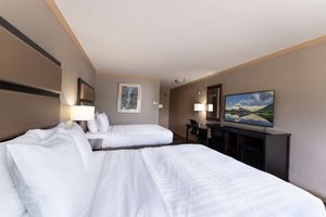 Room & Suite