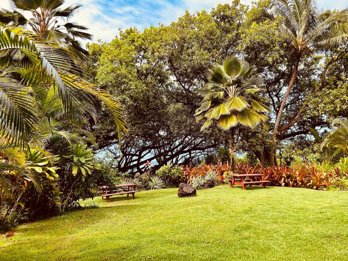 KALANI RETREAT CENTER - Updated 2024 Prices & Hotel Reviews (Hawaii/Pahoa)