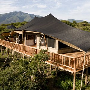 Acacia Ngorongoro Luxury Camp in Ngorongoro