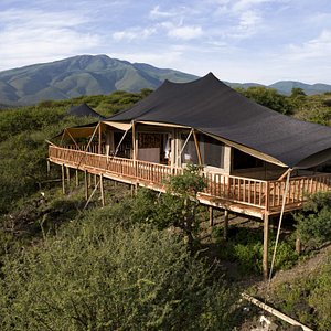 Acacia Ngorongoro Luxury Camp in Ngorongoro