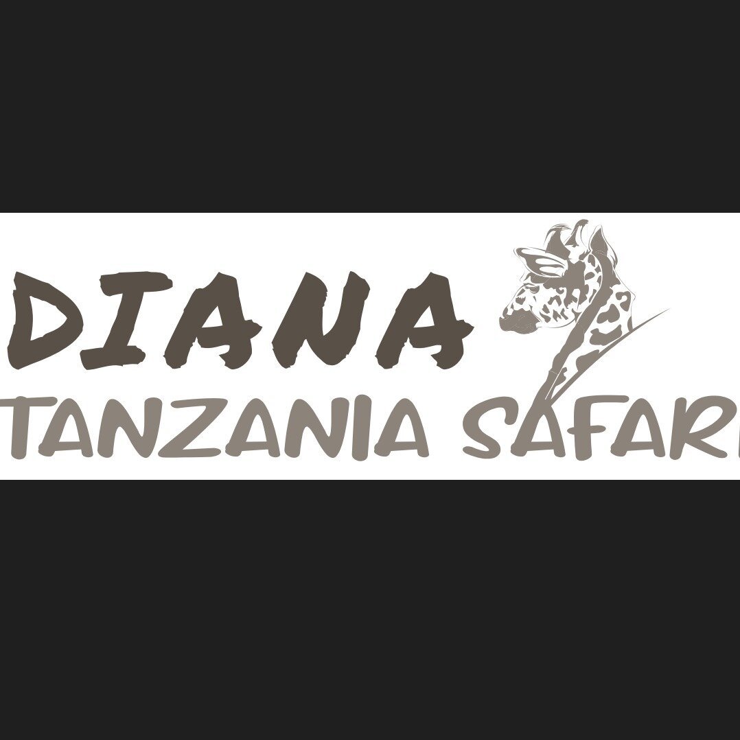 DIANA TANZANIA SAFARIS (Arusha): Address - Tripadvisor