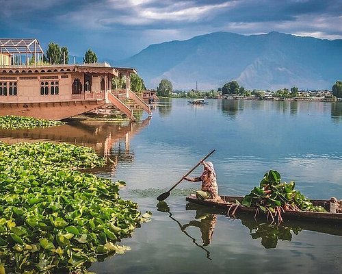 shah tours and travels kashmir