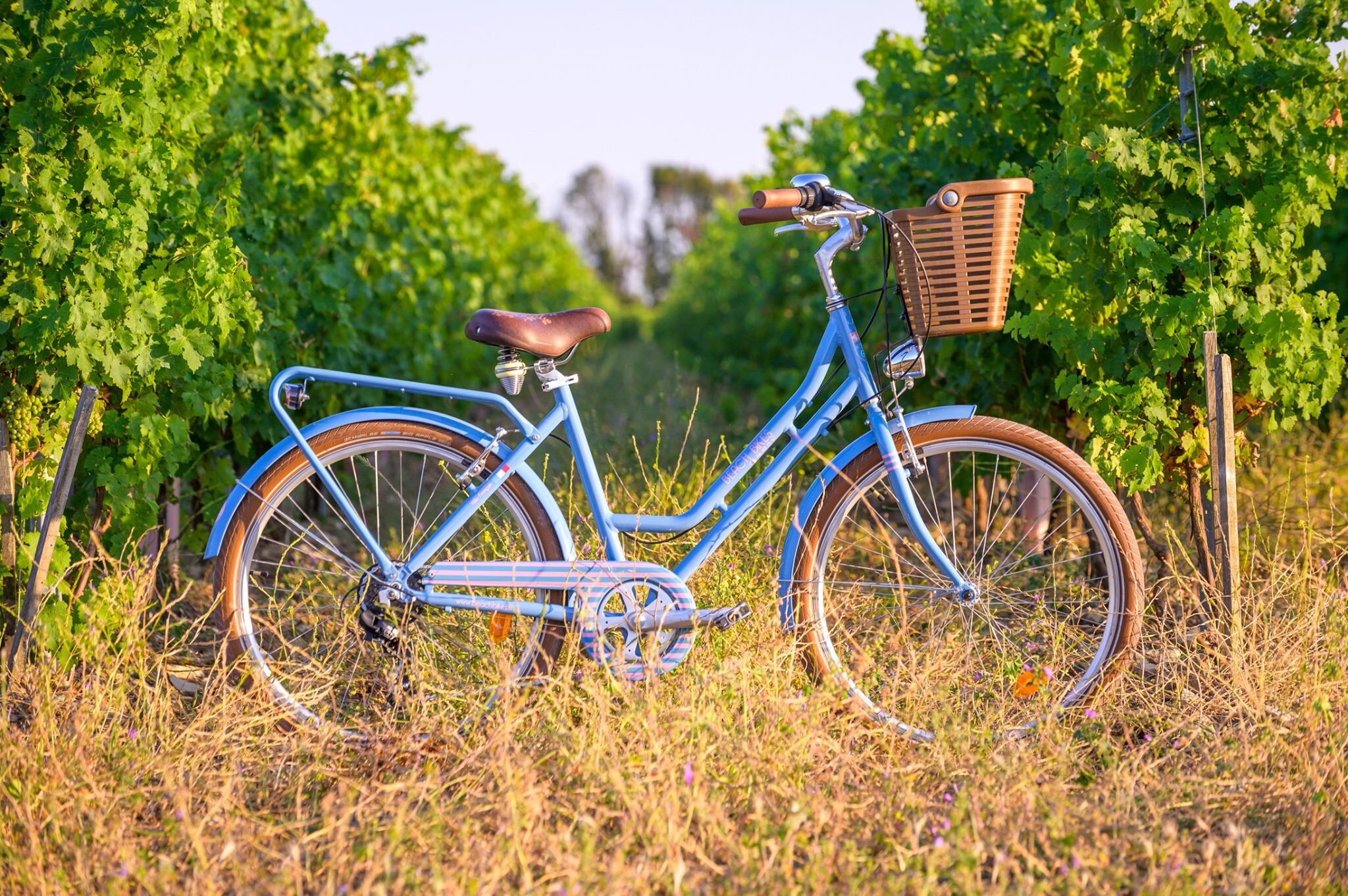 La route à vélo sainte marie de ré hot sale