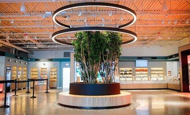 ENLIGHTENED DISPENSARY - SCHAUMBURG (2025) All You Need to Know BEFORE You  Go (with Photos) - Tripadvisor