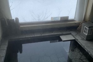 旅行者の写真