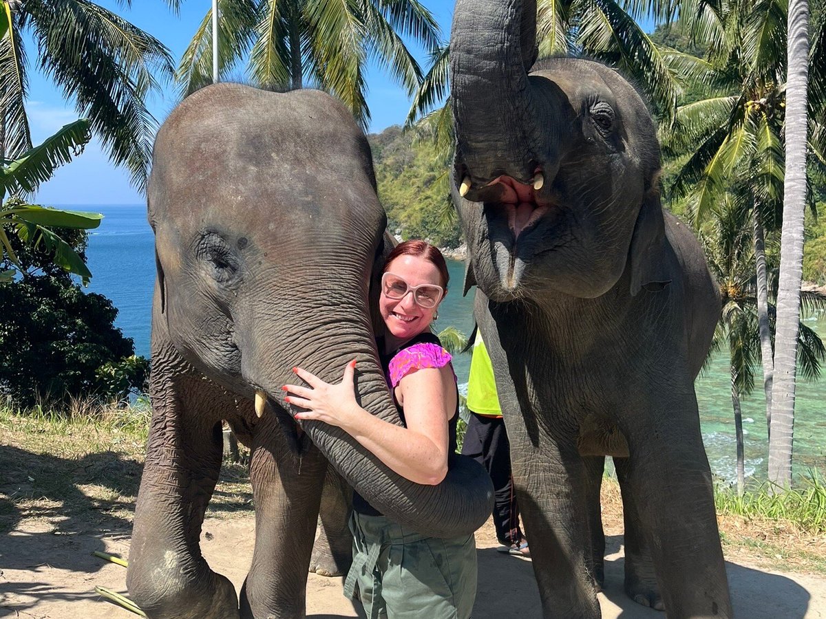 Patong Elephant Care, Патонг: лучшие советы перед посещением - Tripadvisor