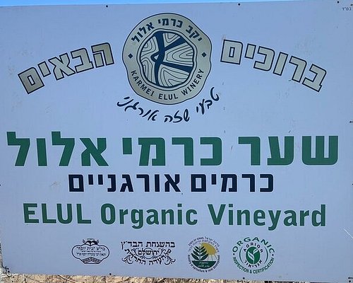 israel winery tours