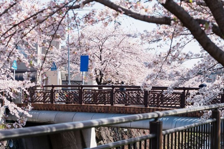 YAMAZAKI RIVER All You Need to Know BEFORE You Go with Photos