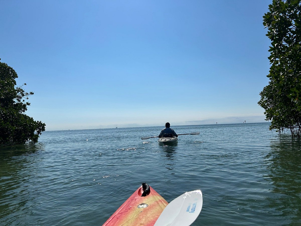 Kayaking With Your Dog  Northwest Florida Outdoor Adventure