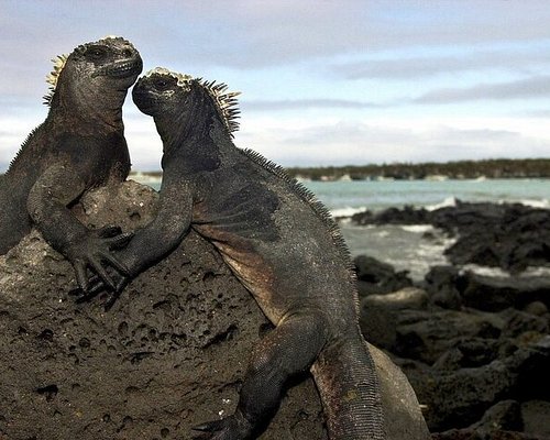 eco trips to galapagos islands