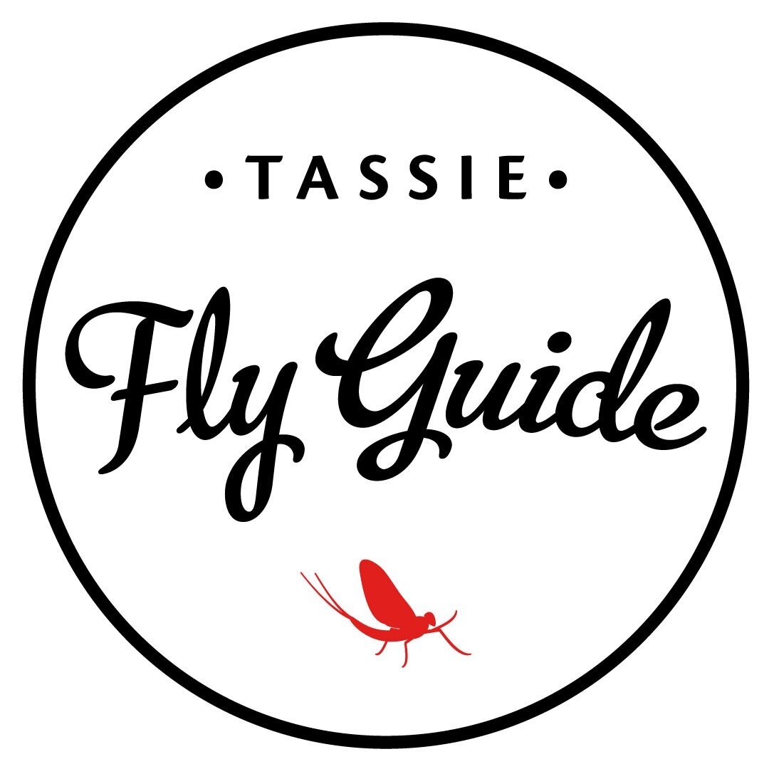 2024年 Tassie Fly Guide 出発前に知っておくべきことすべて トリップアドバイザー 3985