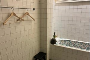 旅行者の写真