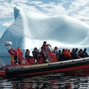 nfld tourist attractions
