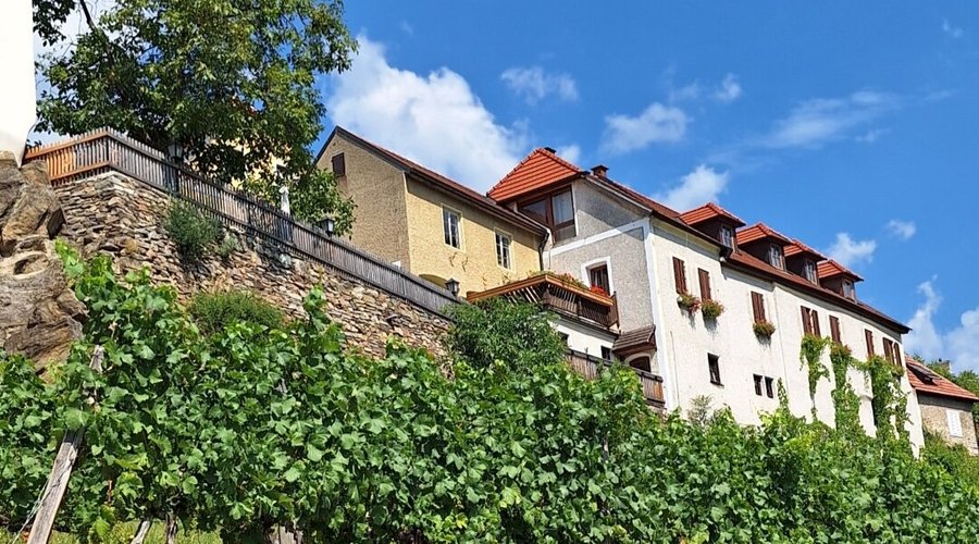 Heurigen und Gastgarten