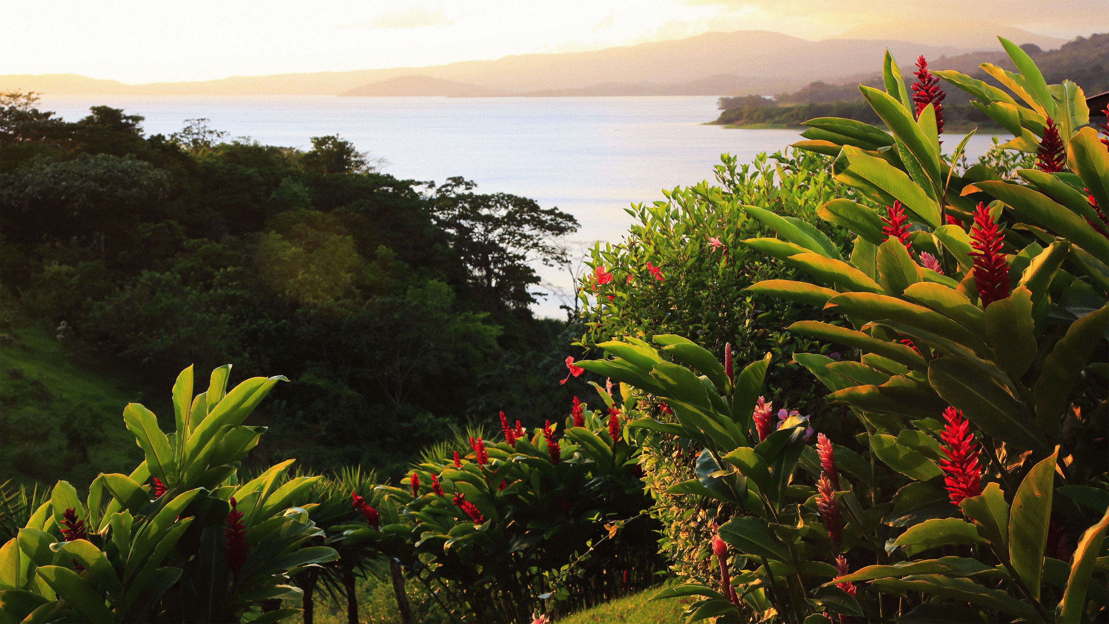 Costa Rica Forum, Travel Discussion For Costa Rica - Tripadvisor