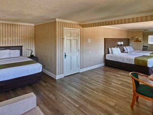 Room & Suite