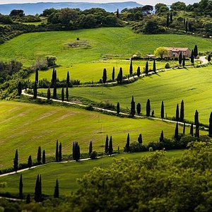 Bulini: attrezzi per incisione su metallo tipico della tradizione orafa  fiorentina. laboratorio - Immagine di NAA-Studio, Gioielli Firenze -  Tripadvisor