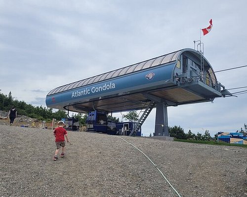bus tour companies in canada