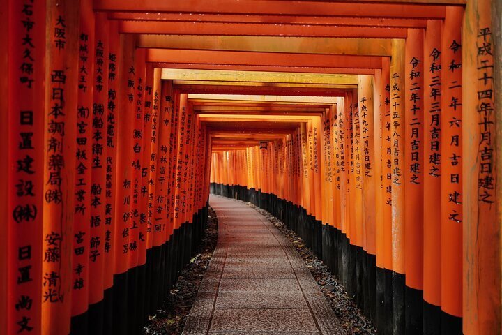 2024 Kyoto Early Morning Tour with English-Speaking Guide