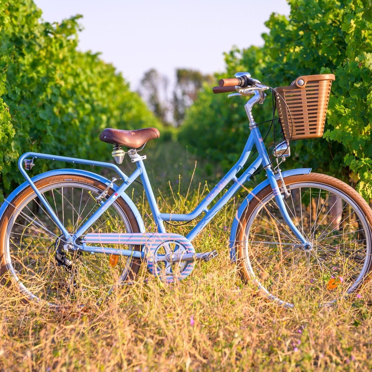 Beach Bikes - Location De Vélo - Saint Martin De Ré - Le Port - All You  Need to Know BEFORE You Go (2024)