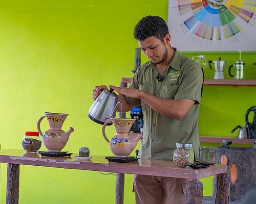 guanacaste coffee tour