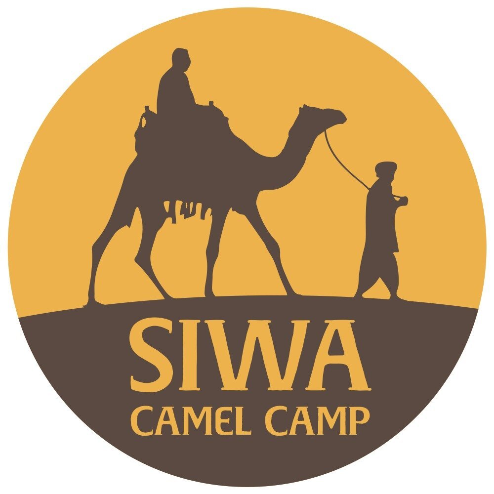 Siwa Camel Camp - All You Need to Know BEFORE You Go (2024)