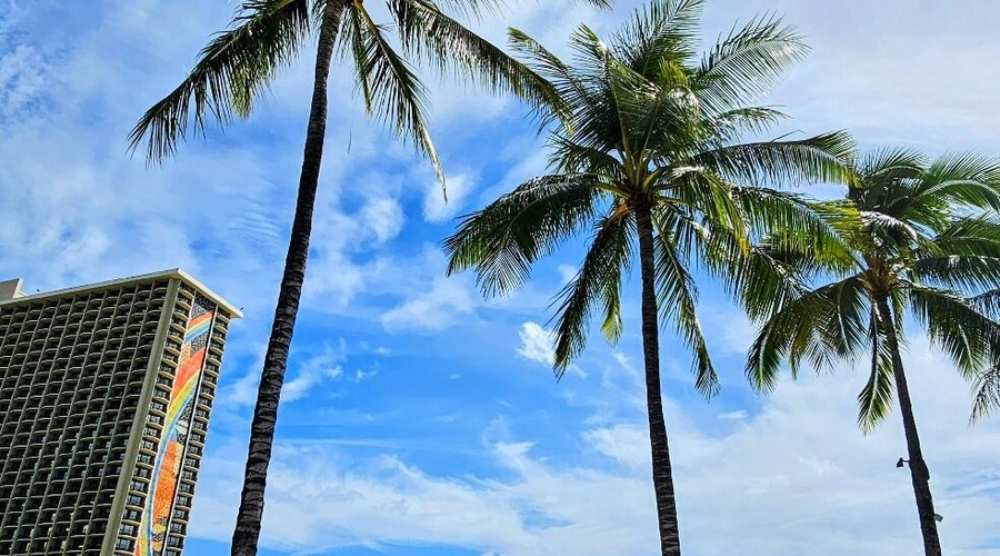 🌴🌺🌴 Duke Kahanamoku Lagoon is a public area in the quieter part of Waikiki that is ideal for families with children. From there you have a beautiful view of Kahanamoku Beach and the volcanic crater Diamond Head, Honolulu's landmark. The water in the lagoon is slightly cooler than in the sea. It is also possible to rent stand-up paddle boards, paddle boats and kayaks there. A large parking lot is also available. 🌴🌺🌴